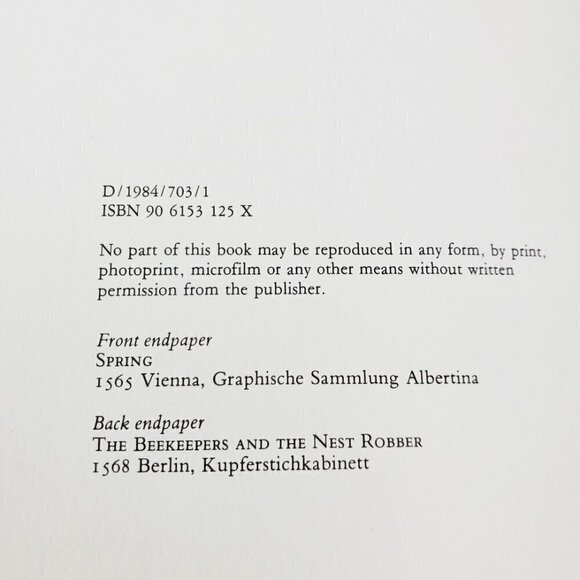 Pieter Bruegel by Bob Claessens, Jeanne Rousseau Vintage 1984 Hardcover Art Book - Picture 6 of 11